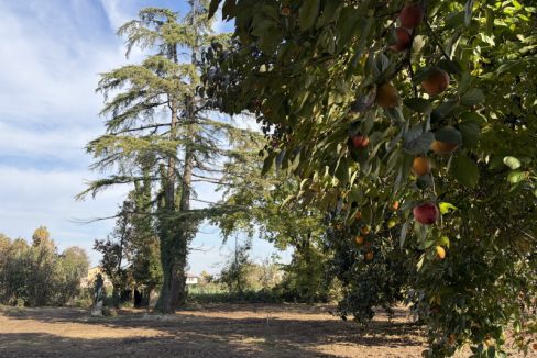 1973-ABITAZIONE-INDIPENDENTE-VENEZIA-27