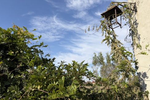1973-ABITAZIONE-INDIPENDENTE-VENEZIA-32