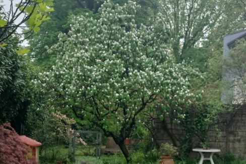 1980-APPARTAMENTO-PADOVA-9