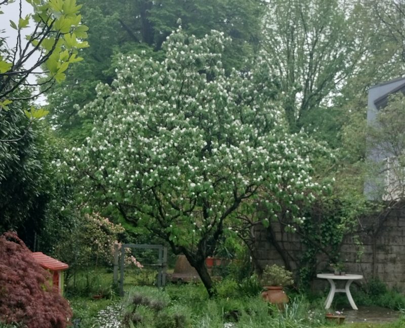 1980-APPARTAMENTO-PADOVA-9